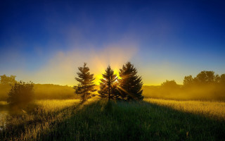 Field trees sunset fog nature - crepuscular ray free wallpaper