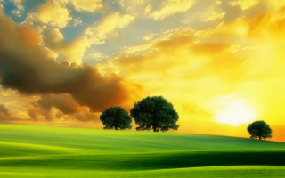 Green field sunset trees clouds - a green field free wallpaper