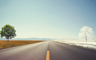 Lone tree road beach sky - postminimalism free wallpaper for desktop