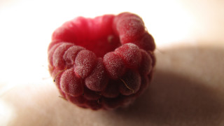 Raspberry shadow arcimboldo berries macro - arcimboldo free wallpaper