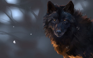 Black wolf snowy forest blue - a black wolf free wallpaper