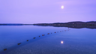 Boats lake forest night fullmoon - bruce munro free wallpaper
