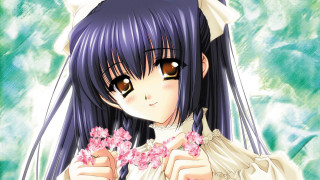 Girl long hair holding flowers - long hair holding free wallpaper