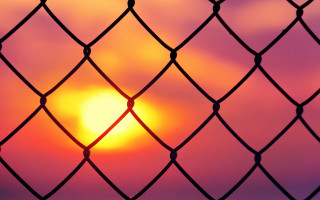 Sunset chainlink fence bird pumpkin - mesh wire free wallpaper