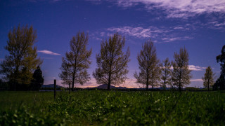 Field fence trees mountain night - free sky wallpaper