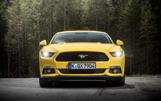 Yellow mustang forest car digital - a forest of trees free wallpaper