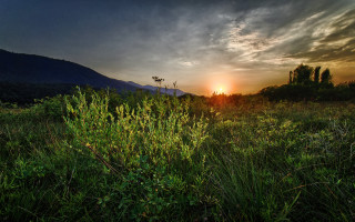 Sunset mountain clouds trees field - a sunset in the background and a mountain in the distance free wallpaper