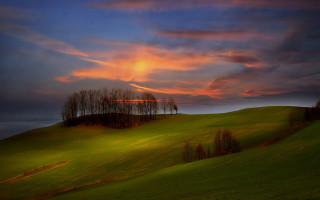 Field trees sunset clouds hill - landscape free wallpaper