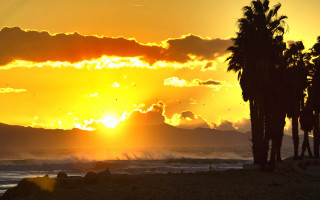 Sunset palm trees water mountain 2 - palm tree and a body of water free wallpaper