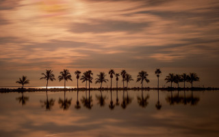 Sunset palmtrees boat clouds ocean - palm tree and a body of water free wallpaper