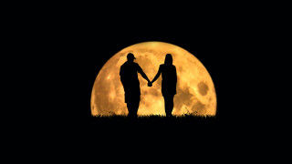 Romantic moonlit night silhouettes grass - full moon free wallpaper