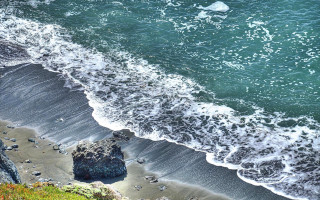 Bird flying over water beach - foamy free wallpaper