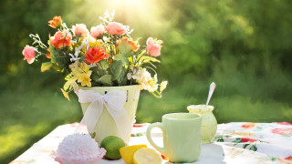 Vase flowers tea table outside - bright morning free wallpaper