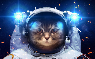 Cat astronaut light stars space - free cats wallpaper