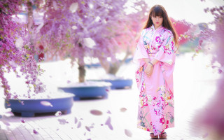 Pink kimono woman falling petals - under a tree free wallpaper