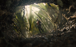 Helmet man cave plants sunlight - a cave free wallpaper