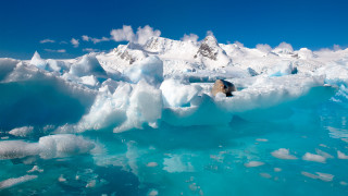 Polar bear iceberg mountains water - a large iceberg free wallpaper