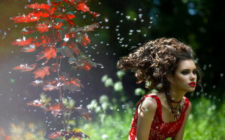 Woman red dress flower field 3 - flower and grass free wallpaper for desktop