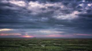 Field sky trees city lights - betye saar free wallpaper