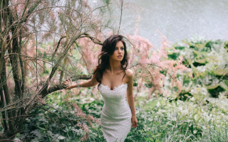 Woman white dress tree flowers - fine foliage lace free wallpaper for desktop