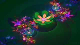 Colorful flower computer generated image - image of a flower free wallpaper