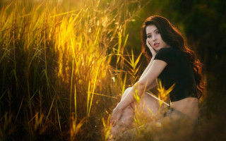 Woman tallgrass crossedlegs sunshine portrait - tall grass free wallpaper