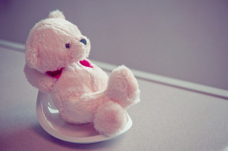 Pink teddy bear table red - single body free wallpaper