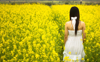 Woman white dress field yellow - a man in the background free wallpaper