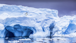 Man iceberg ocean ecological art - ice free wallpaper