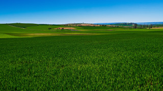 Green field house blue sky - a house in the distance free wallpaper