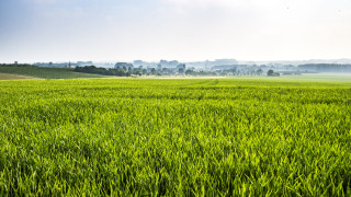 Green field town foggy sky - a foggy sky free wallpaper for desktop
