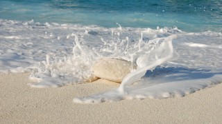 Beach rock waves sand ocean - foamy free wallpaper