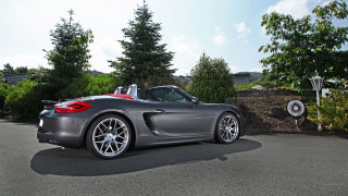 Grey sports car driveway tree - a grey sports car free wallpaper