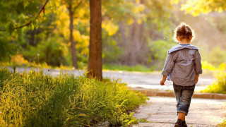 Boy walking woods autumn sunset - a young boy free wallpaper