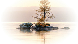 Lone tree rock water ecological - a lone tree free wallpaper