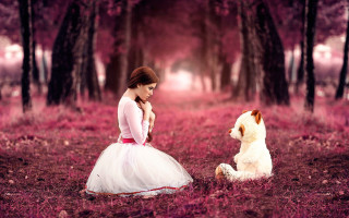 Girl white dress teddy bear - tree and grass free wallpaper