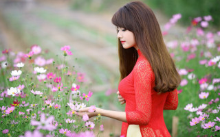 Woman red dress flower field 7 - the flower free wallpaper