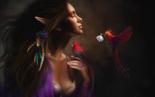 Woman bird flower elf fantasy - fantasy artwork free wallpaper