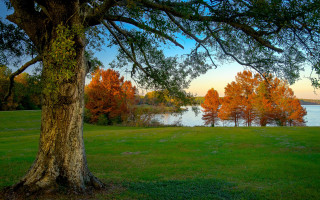 Autumn leaves lake trees park - a lake in the background free wallpaper