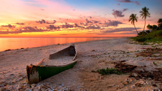 Boat beach sunset palm tree - a palm tree in the background free wallpaper