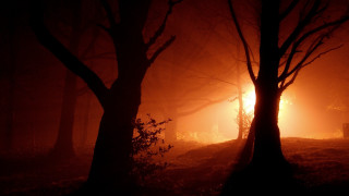 Foggy forest bench autumn light - foggy free wallpaper