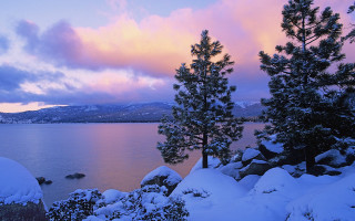 Lake snow trees pink sky - a pink sky free wallpaper