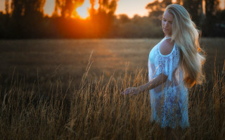 Woman field sunset wind orange - tall grass free wallpaper