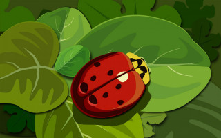 Ladybug green leaf ecological art - ground next free wallpaper