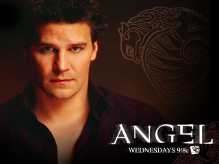 Man black shirt dragon serious - his shirt free wallpaper