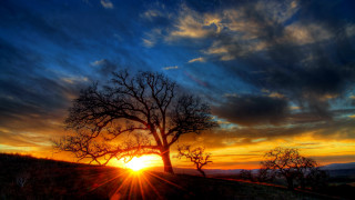 Tree hill sunset clouds trail - a trail free wallpaper