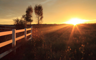 Sunset field white fence trees - a sunset over a field free wallpaper