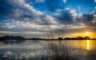 Lake sunset clouds grass matte - crepuscular free wallpaper
