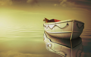 Cat boat floating water sky 2 - a yellow light free wallpaper for desktop