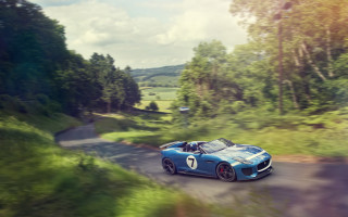 Blue sports car woods road 2 - a number free wallpaper for desktop